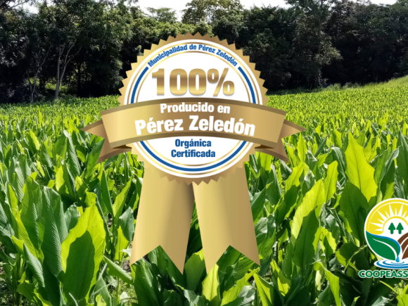 COOPEASSA R.L. Recibe Sello de Identificación para Alimentos Locales en la Categoría de Orgánica Certificada.