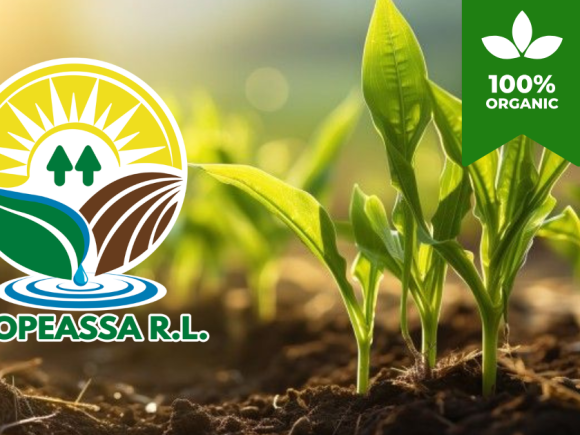 ¡Optimice su cosecha! Coopeassa R.L. presenta su lista oficial de insumos y abonos orgánicos aprobados para la certificación NOP-USDA
